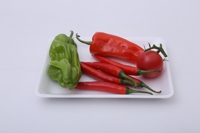 Emballage de viande de légume fruit PET biodégradable recyclable jetable de taille standard Plateau en mousse de restaurant avec coussin absorbant