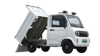 Mini-camion électrique 1500W 4 roues pick-up électrique 2 places petit véhicule électrique voiture utilitaire