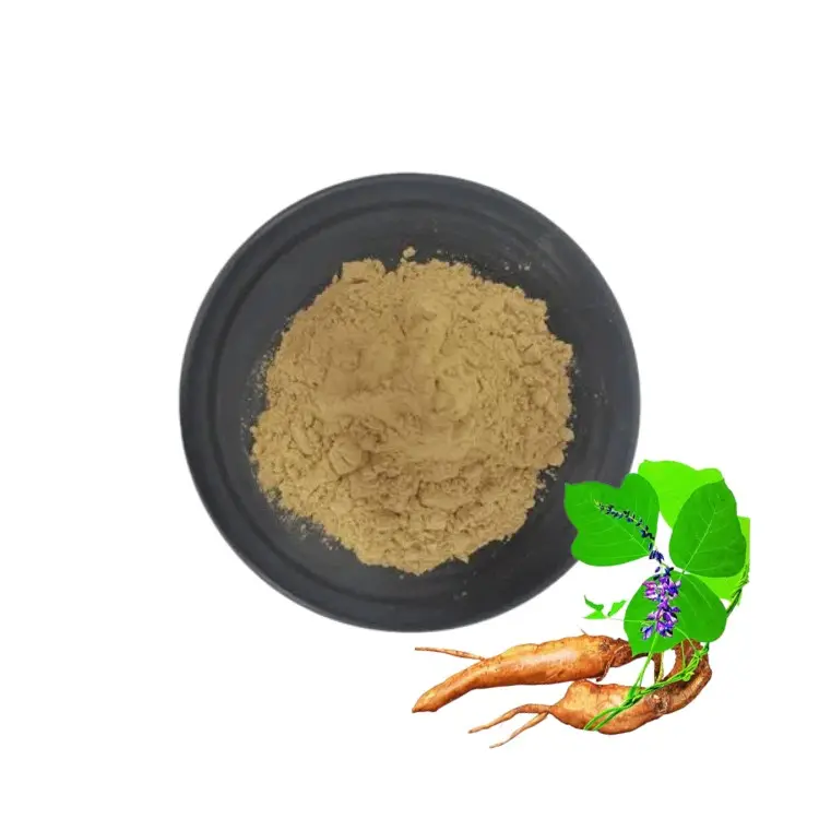 Pasokan langsung pabrik tersertifikasi GMP produk organik terbaik bubuk ekstrak akar Kudzu ORGANIK MURNI 10%-80% harga grosir untuk dijual