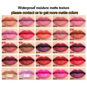 30 Color Makeup Matte Lipstick Private Label Cosmetics Moisture Waterproof Vegan Lipgloss Wholesale