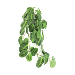 ใบ <span class=keywords><strong>Calathea</strong></span> สีเขียวยาว85ซม. แบบสัมผัสจริงสำหรับการตกแต่งดอกไม้ - Product Image 1