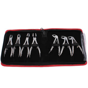 Dental Extraction Forceps Set 10 Piece Stainless Steel Orthodontic <b>Tools</b> With Storage <b>Bag</b> Manual Dental Surgical Instruments - Product Image 2