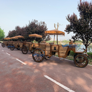 Vehículo Eléctrico de Alta Calidad, Estilo Europeo, para Recorridos Turísticos en Parques de Atracciones - Product Image 3