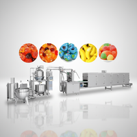 Multifunctionele snoepmachine van roestvrij staal, productielijn voor gummy's