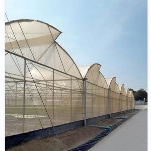 Serre Hydroponique Agricole <span class=keywords><strong>Superferme</strong></span> Type Dents de Scie à Vendre - Product Image 3