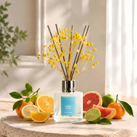 Diffuseur de parfum sur mesure OEM ODM Agrumes Côtiers 100ml Collier Argenté Parfum d'ambiance Vente en gros Longue Durée Élégant
