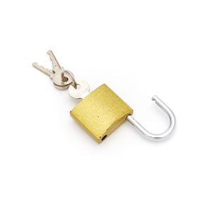 Venta al por mayor de candados de latón de tamaño personalizado de alta seguridad antirrobo llaves cruzadas pulido fino Candado Lock gran oferta - Product Image 5