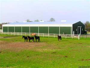 Usine chinoise approvisionnement Direct Structure industrielle en acier à faible coût, grange à cheval, hangar, ferme, maison avec arène d'équitation, matériaux de construction - Product Image 2