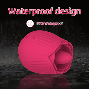 Vibrateur de succion clitoridienne et des mamelons pour femmes, jouet sexuel pour adultes, stimulateur <span class=keywords><strong>clitoridien</strong></span>, sextoys - Product Image 1