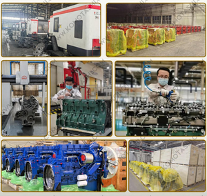 Motore Diesel del trattore di Newpars YN385D <span class=keywords><strong>3</strong></span> cilindri per Yunnei motore completo del trattore di potenza - Product Image 6