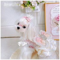 Robe pour chien d'hiver en polyester, motif papillon, classique, décontractée, princesse, vêtements chauds