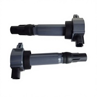 Bobine d'allumage OE 3102236 MW250963 SMW250963 DQ9115A K00565035 9125601, remplacement direct pour Volvo V70 XC70 S80 1999-2009