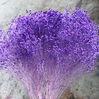 Gypsophile stabilisée 50g/paquet, vente en gros, artisanat floral séché écologique pour mariage, DIY, couleurs personnalisées, décorations d'intérieur