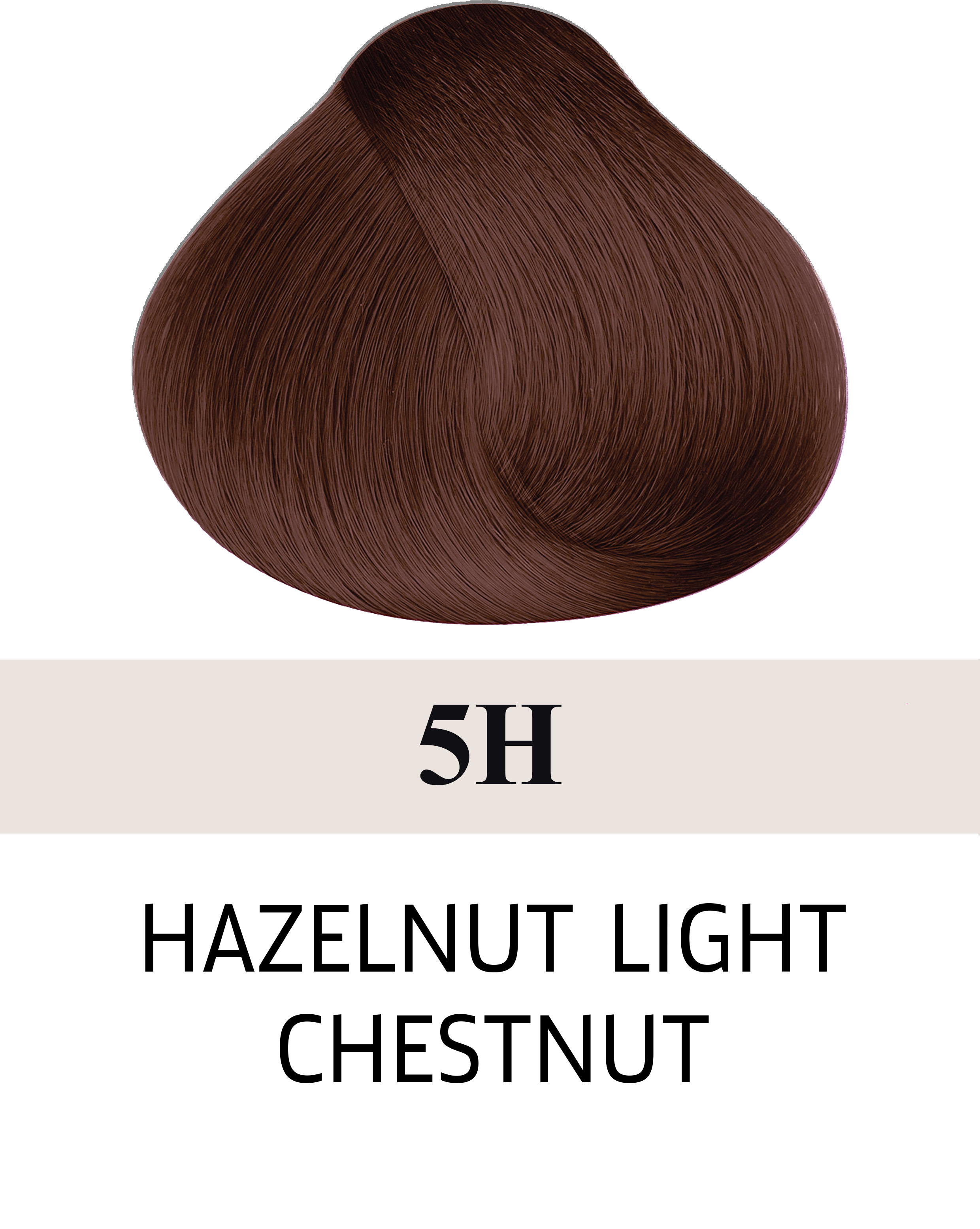 5H Hazelnut Light Chestnut