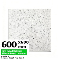 Plaques de plafond carrées en silicate de calcium ignifugées épaissies, design moderne, pour projets d'aménagement intérieur de centres commerciaux, hôtels et espaces publics - Meilleures ventes