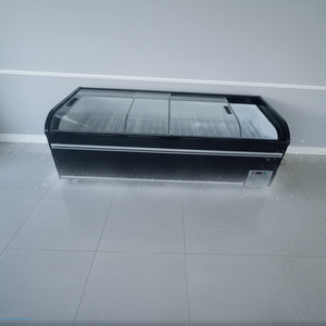 <span class=keywords><strong>Congélateur</strong></span> îlot europé<span class=keywords><strong>en</strong></span> pour supermarché, à couvercle coulissant ouvert <span class=keywords><strong>en</strong></span> hauteur, pour affichage <span class=keywords><strong>combiné</strong></span> d'aliments surgelés <span class=keywords><strong>en</strong></span> sac et de viande - Product Image 5