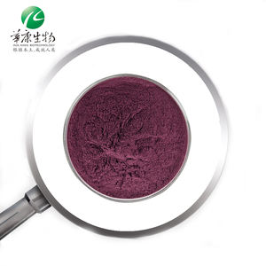 Liofilizado orgânico Açaí <span class=keywords><strong>Berry</strong></span> Fruit Pó Puro Natural Açaí <span class=keywords><strong>Berry</strong></span> Extrato Em Pó - Product Image 1