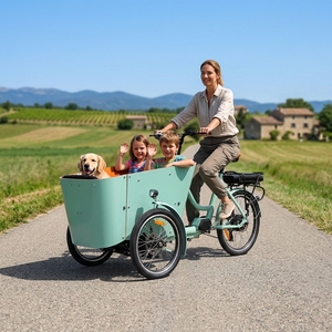 Tricycle familial Holland avec boîte avant et banquette passager, prêt pour la livraison urbaine, vélo à 3 roues, scooter motorisé, vélo cargo, vélo de camping, vélo électrique - Product Image 2