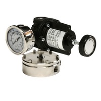 Régulateur de Pression Sous Vide EQUILIBAR EVR-GSD2A Importé d'Origine, Réducteur de Pression Contre-Courante, Origine États-Unis, Tension de Fonctionnement Sans Mémoire