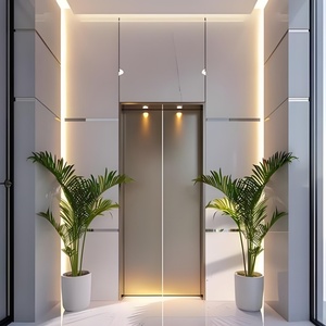 Ascensores <span class=keywords><strong>Familiares</strong></span> Modernos de Tamaño Personalizado, Ahorran Espacio, Ascensor Seguro para Diversas Aplicaciones <span class=keywords><strong>en</strong></span> Residencias Privadas, Villas y Hoteles - Product Image 1