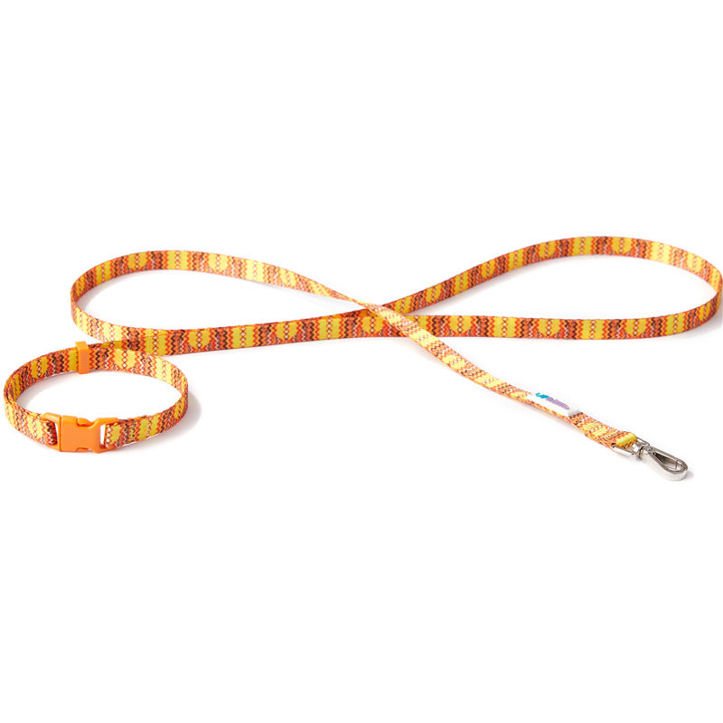 Orange leash