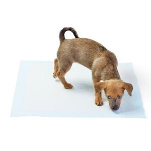 Tek kullanımlık emici köpek kedi ev hayvanı pedi haysiyet sayfası - Product Image 3