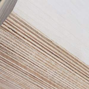 Fornitura diretta <span class=keywords><strong>in</strong></span> fabbrica di pannelli lavorati multistrato di fascia alta <span class=keywords><strong>in</strong></span> compensato di betulla di grado 9mm P2 E0. - Product Image 6