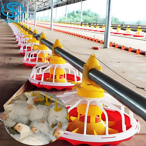 Gallinero de Acero Estilo Rústico para Cría de Pollos de Engorde en Granjas, Venta Caliente, 10000 Aves - Product Image 5