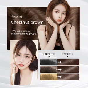 Private Label Wholesale Bubble Hair Dye Natural Plant Bubble Hair Color Shampoo Plant Essence Hair Color