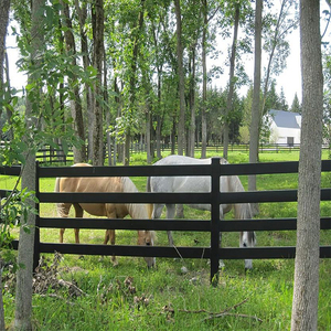 Clôture en acier galvanisé noir solide, en métal, pour ranch, à lattes, pour chevaux - Product Image 2