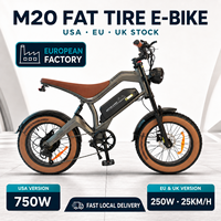 Toptan 250W 48V 15.6Ah Büyük Tekerlekli Şişman Lastikli Dağ EV ET Arazi Şehir E Elektrikli Arazi Bisikleti Bisiklet Fatbike Bisiklet