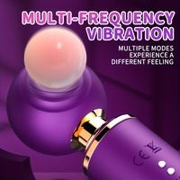 Nouveau Vibromasseur Magique à Succion et à Poussée, Dildo Vibrant Point G, Baguette de Massage Japonaise pour Femmes