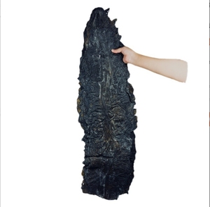 חבילה בתפזורת של אצות חום מיובשות קומבו/אצות ים/laminaria - Product Image 4