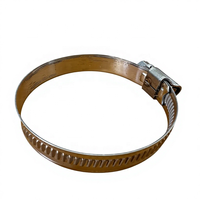 Collier de serrage à vis sans fin de type allemand, largeur de bande 9 mm, en acier inoxydable SS304 W4 DIN3017 pour tuyaux