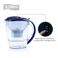 Pichet Purificateur d'Eau Manuel Domestique en Plastique, Alcalin, avec Système de Filtration à 6 Étages au Charbon Actif et Ioniseur