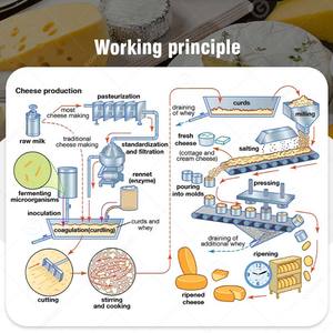 Máquina de Prensado de Queso Semiautomática Neumática de Proceso Duro para Leche de Cabra, 300 Litros - Product Image 3