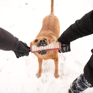Dog Molar Training Stick Heavy-Duty Sturdy Cotton Rough Jute Fabric Dog Chew <b>Toy</b> for Teeth Grinding - Product Image 3