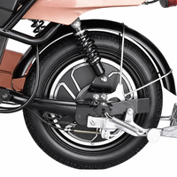 Vélo Électrique Urbain 14 Pouces à Cadre en Acier, Frein à Câble, VTT Électrique à Cadre Bas avec Batterie Amovible pour Adultes - Vente en Gros Usine OEM