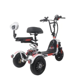 New Type Motorized Auto Rickshaw Three Wheel Electric Tricycles for pet