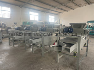 Machine automatique à haute efficacité pour le décorticage des amandes, des noisettes et des noix de palme - Product Image 6
