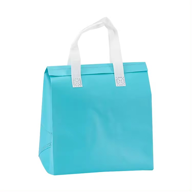 Foldable Lunch Insulated Cooler bag Heated Food Delivery Bag Thermal