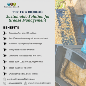 Piège à graisse automatique en plastique avec bloc antibactérien pour une gestion efficace des FOG (graisse, huiles et graisses) - Product Image 1