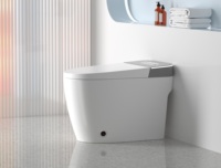 Salle de bain automatique Offre Spéciale Réservoir d'eau dissimulé haut de gamme Toilette intelligente intelligente Toilette électrique à chasse automatique
