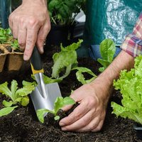Sacs à outils en Nylon, fournitures directe d'usine en chine, travail robuste pour le jardinage, ensemble d'outils de jardinage, Flora