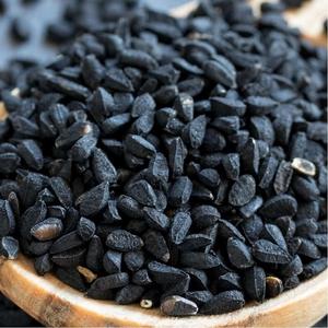Graines de cumin noir de qualité supérieure offrant une nutrition naturelle à base de plantes, soutenant l'équilibre immunitaire, le confort digestif et le bien-être cardiaque - Product Image 4