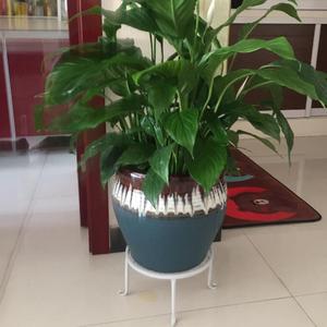 Support à fleurs de style européen, <span class=keywords><strong>pot</strong></span> unique pour <span class=keywords><strong>bonsai</strong></span>, support à fleurs en fer - Product Image 3