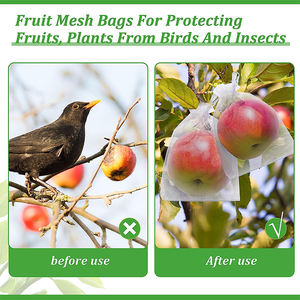 Sacs de <span class=keywords><strong>protection</strong></span> pour raisins, sacs en filet pour fruits et légumes <span class=keywords><strong>contre</strong></span> les insectes pour les vignobles - Product Image 3