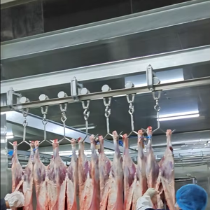 Máquina Automática <span class=keywords><strong>para</strong></span> el Sacrificio <span class=keywords><strong>de</strong></span> Ovejas y Cabras Halal, Equipo <span class=keywords><strong>de</strong></span> Matadero <span class=keywords><strong>para</strong></span> Ganado con Sistema <span class=keywords><strong>de</strong></span> Sangrado, Desollado y Evisceración - Product Image 3