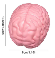 Jouet Squishy Cérébral Rose Réaliste, Jouet à Presser en TPR Nouveauté pour Soulager le Stress, Cadeau Sensoriel Unique pour Fêtes et Bureau