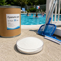 Chlorinateur de piscine à l'acide cyanurique SS0922 pour piscine, entrepôt américain
